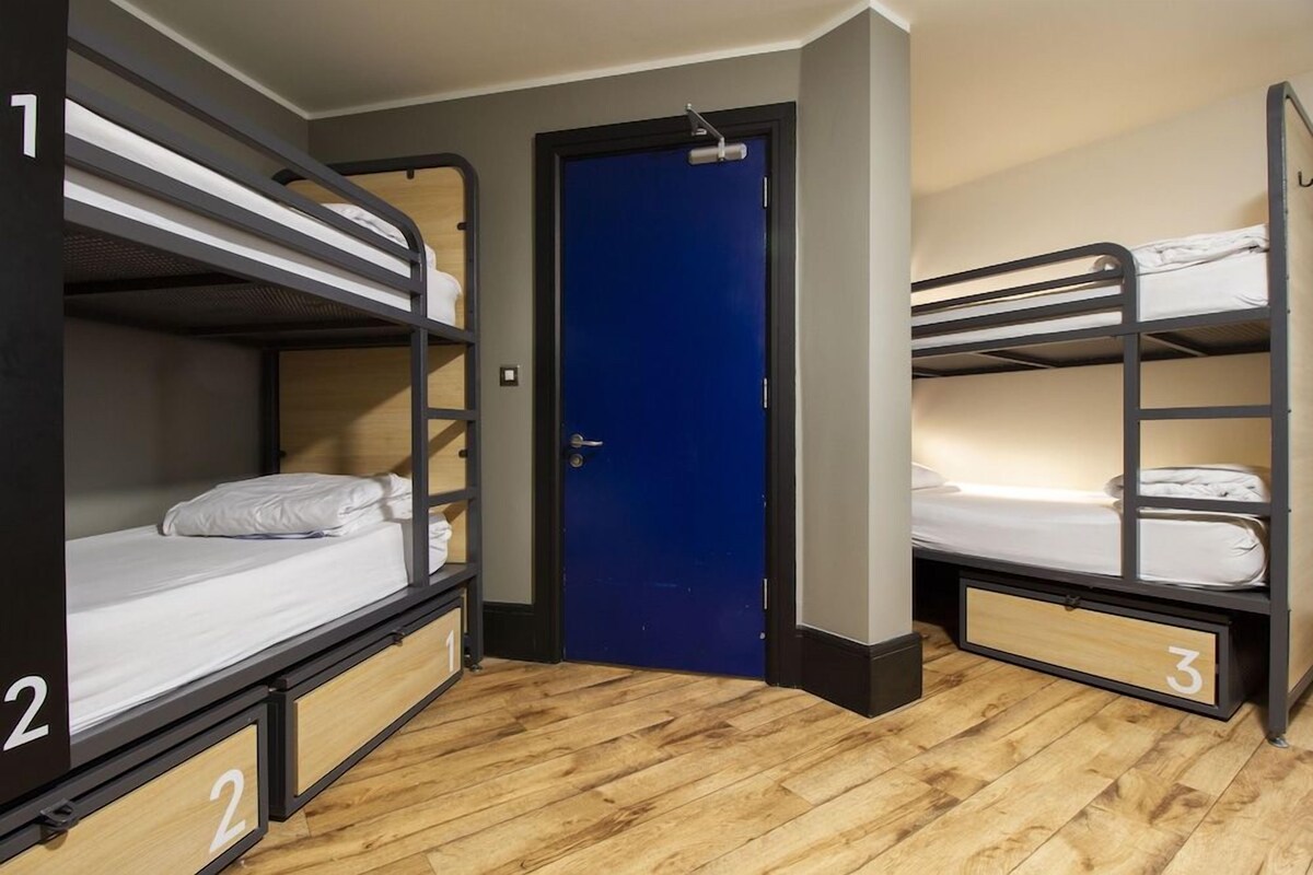 Una habitación con tres literas, cada una con un número identificador, una puerta azul y suelo de madera.