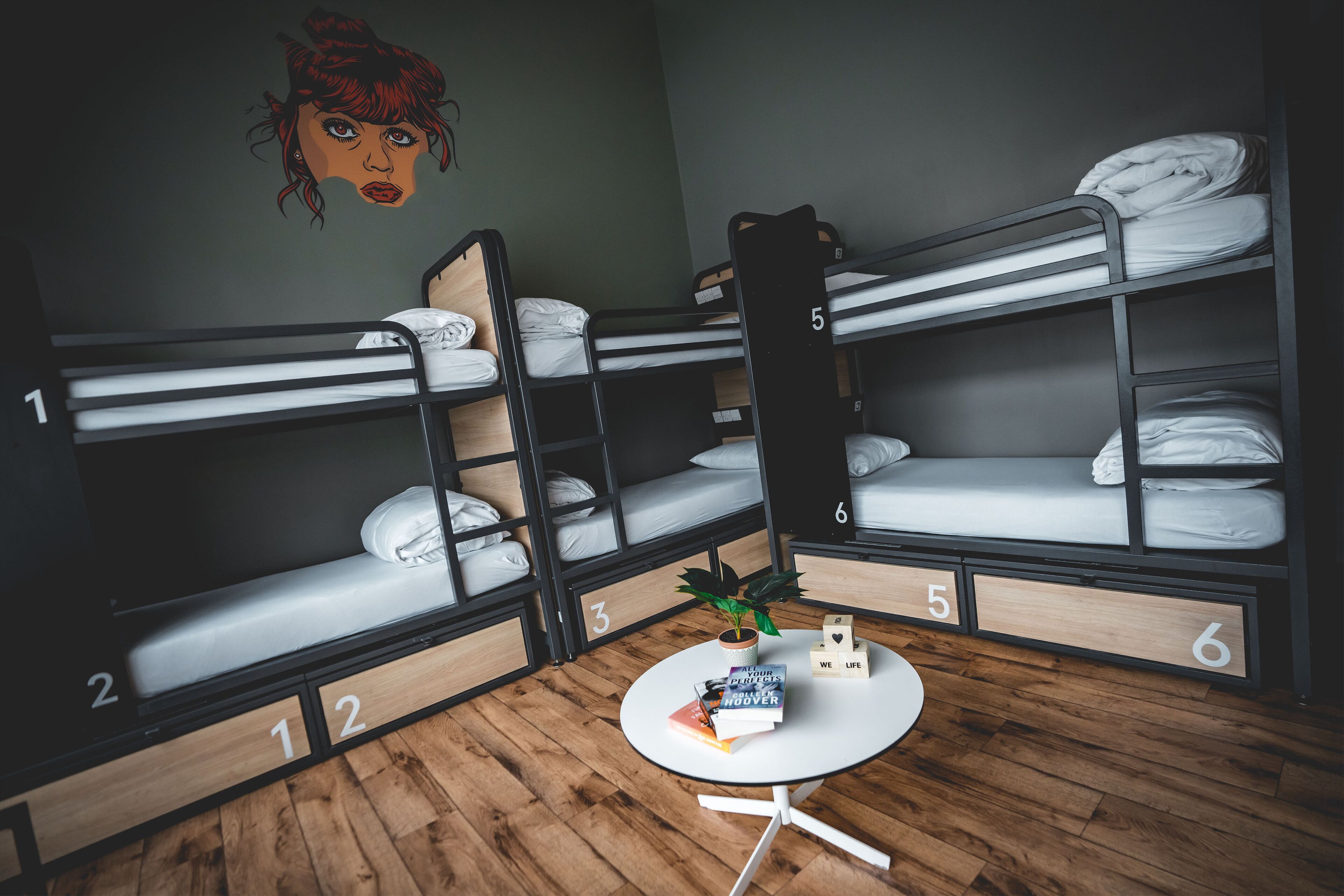 Un dormitorio con literas, una pequeña mesa con una planta y libros, y una pared con un mural.