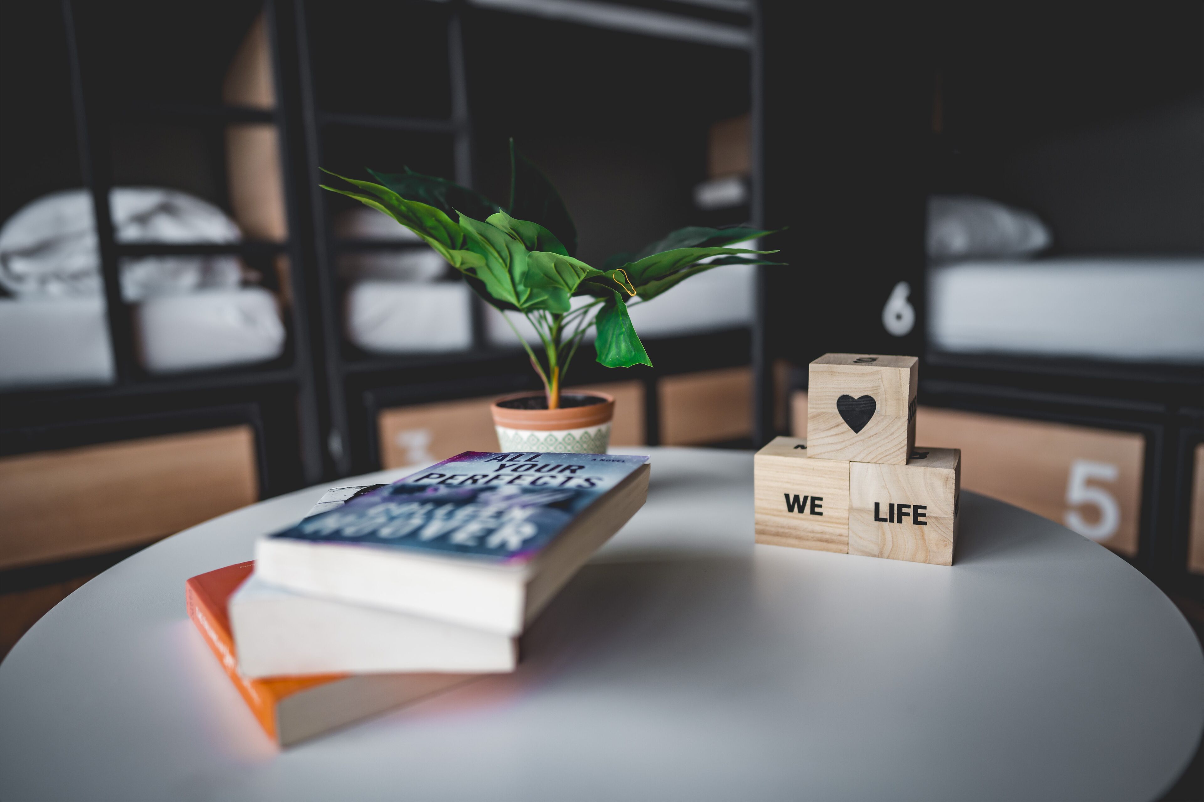A neatly arranged table with a book titled 'All Your Perfects', a potted plant, and wooden blocks spelling 'WE LIFE'.