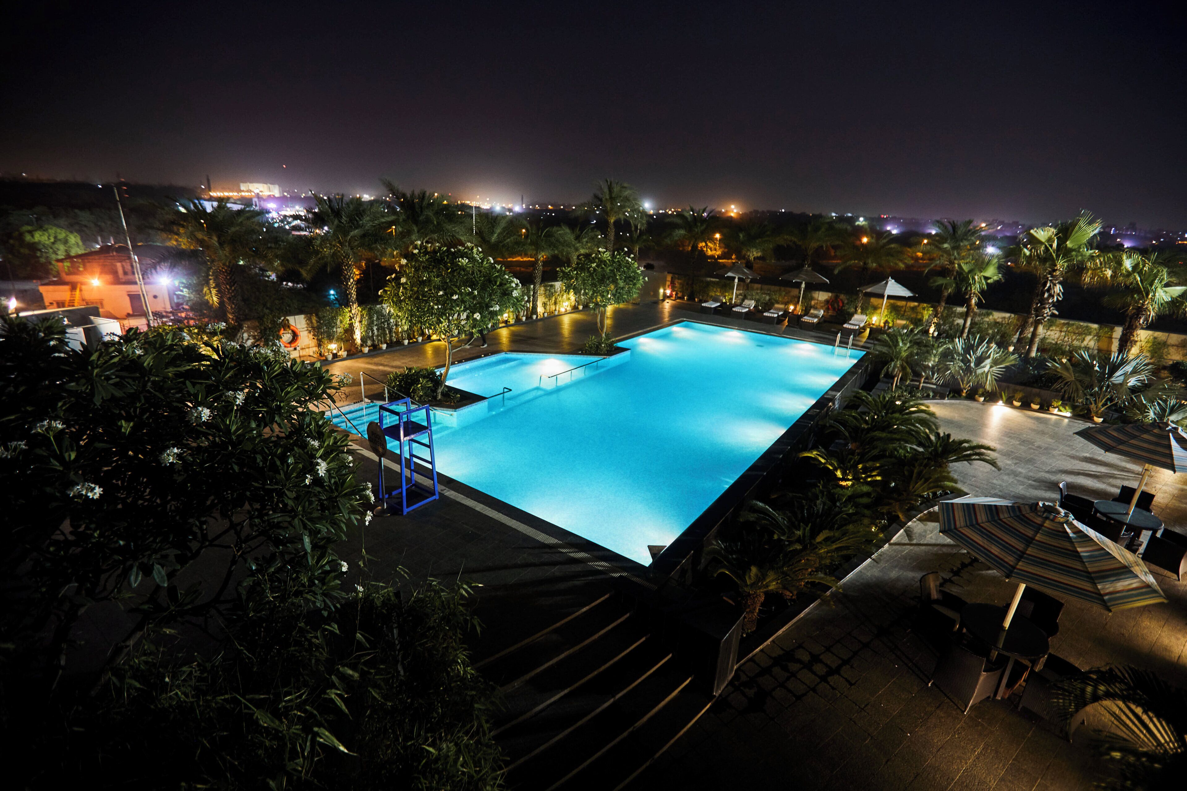 Vue nocturne d’une piscine rectangulaire, entourée de palmiers et de chaises longues.