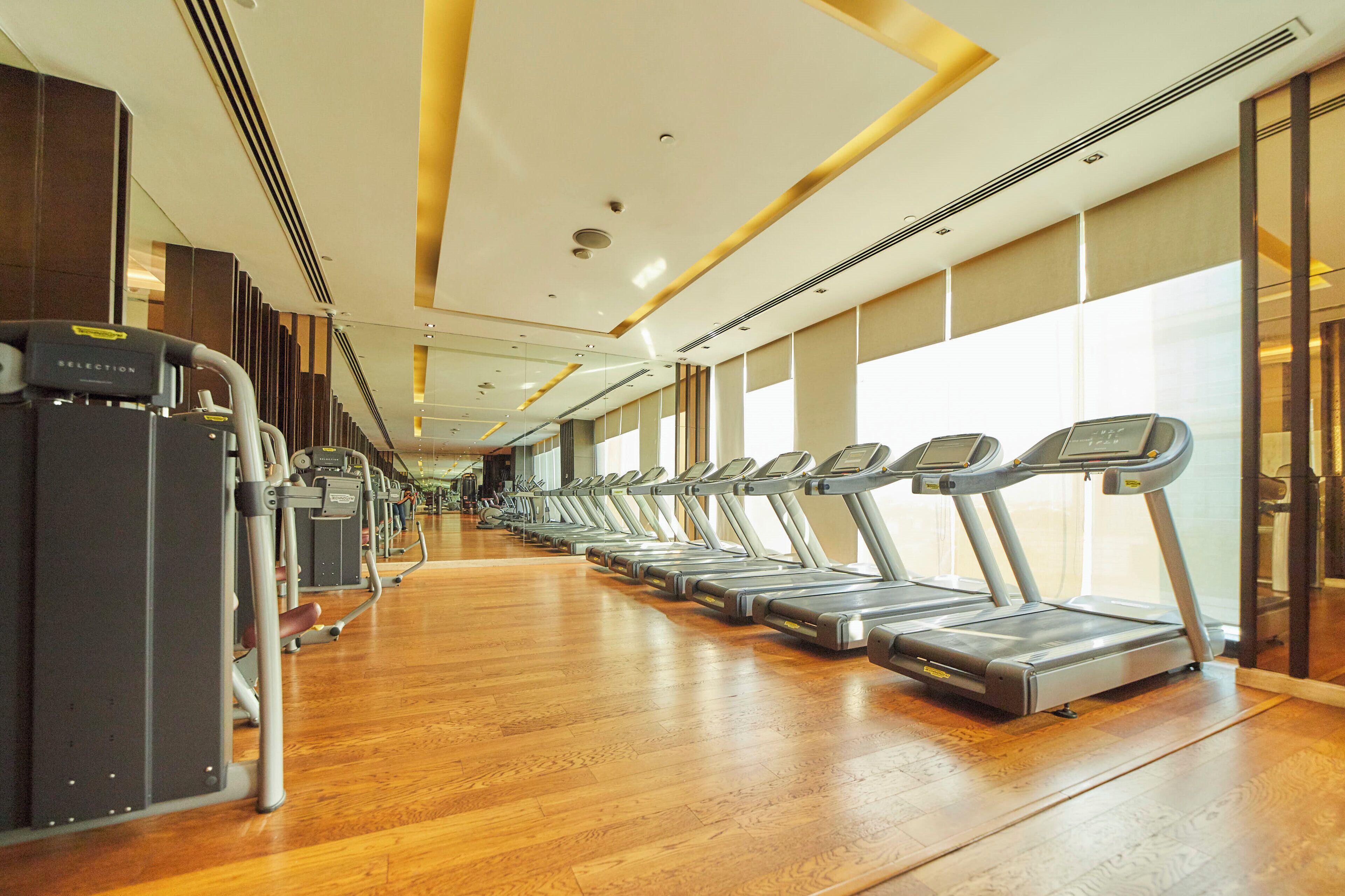 Une salle de sport où les tapis de course sont alignés en rangées, les appareils d’exercice se trouvent à gauche et de grandes fenêtres à droite.