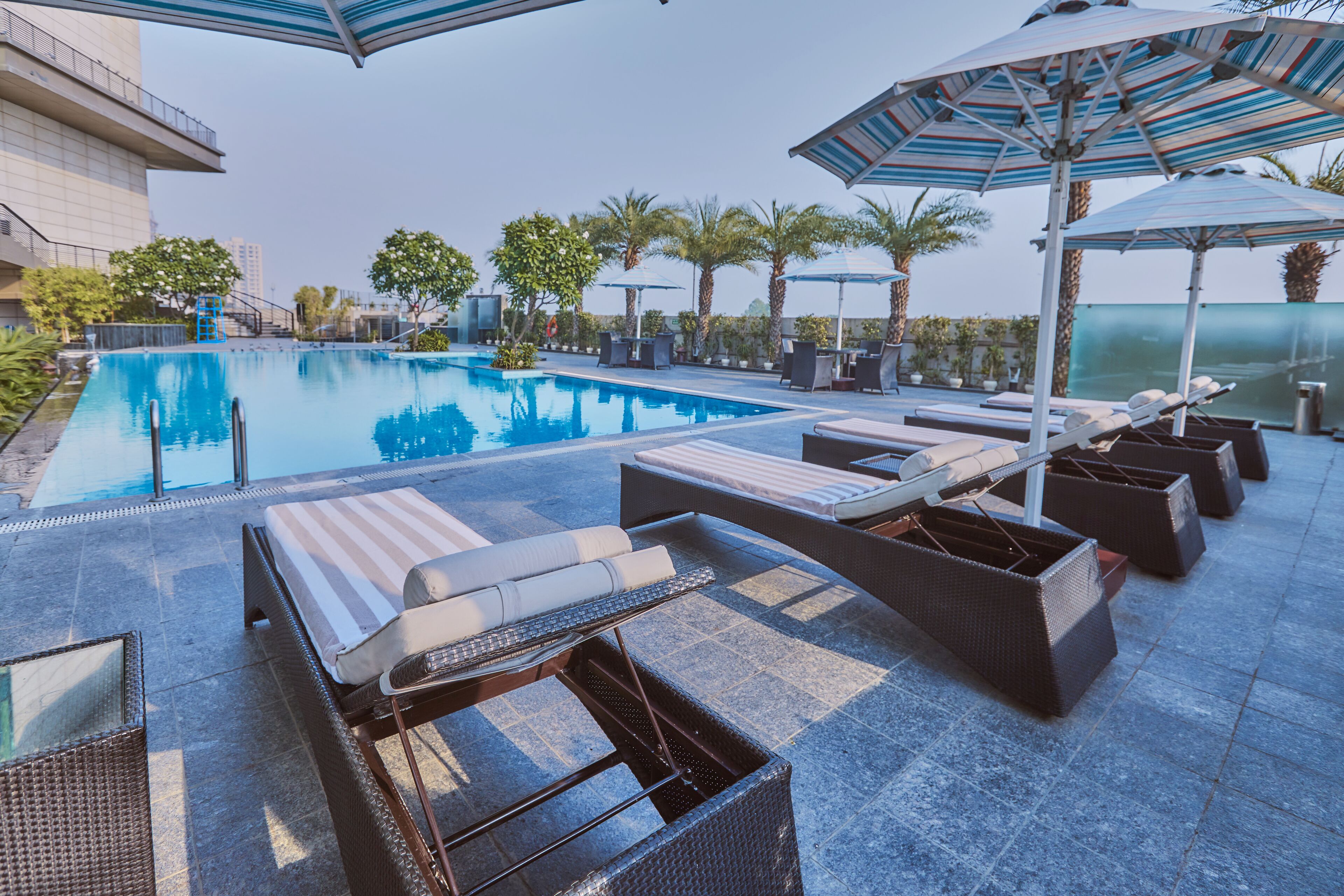 outdoor pool, open 7:00 am to 8:00 pm, pool umbrellas, pool loungers