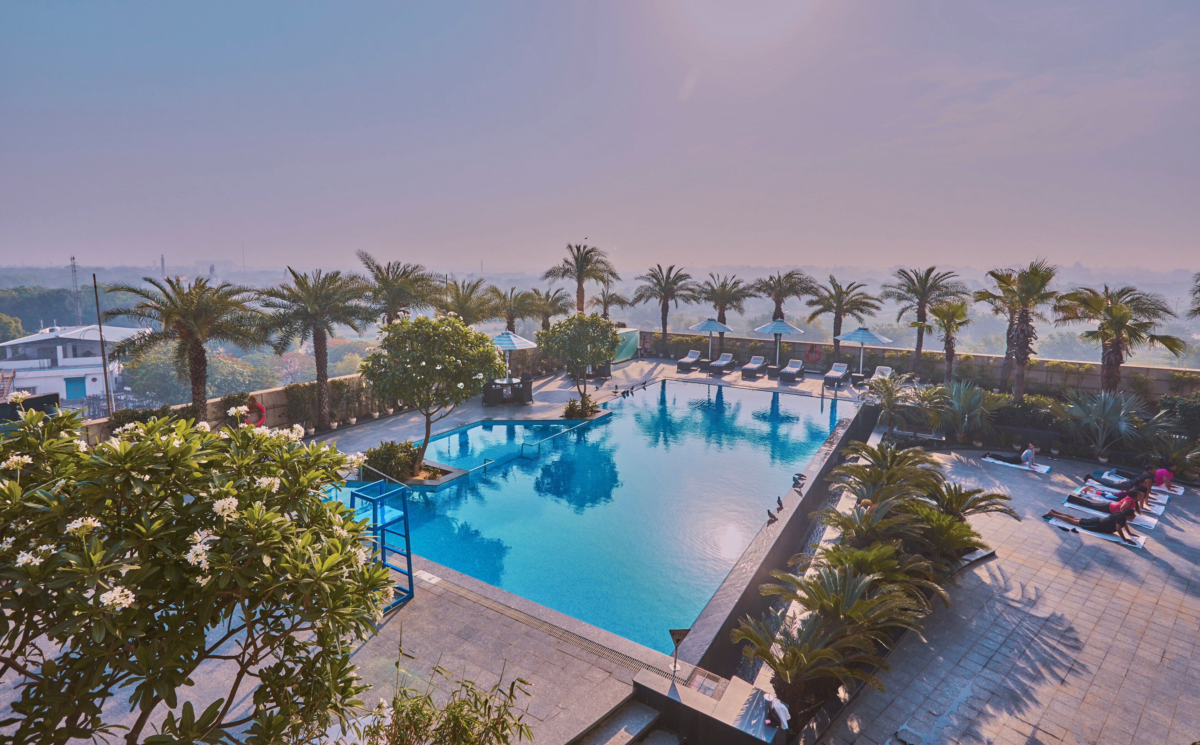 A swimming pool with lounge chairs and palm trees.