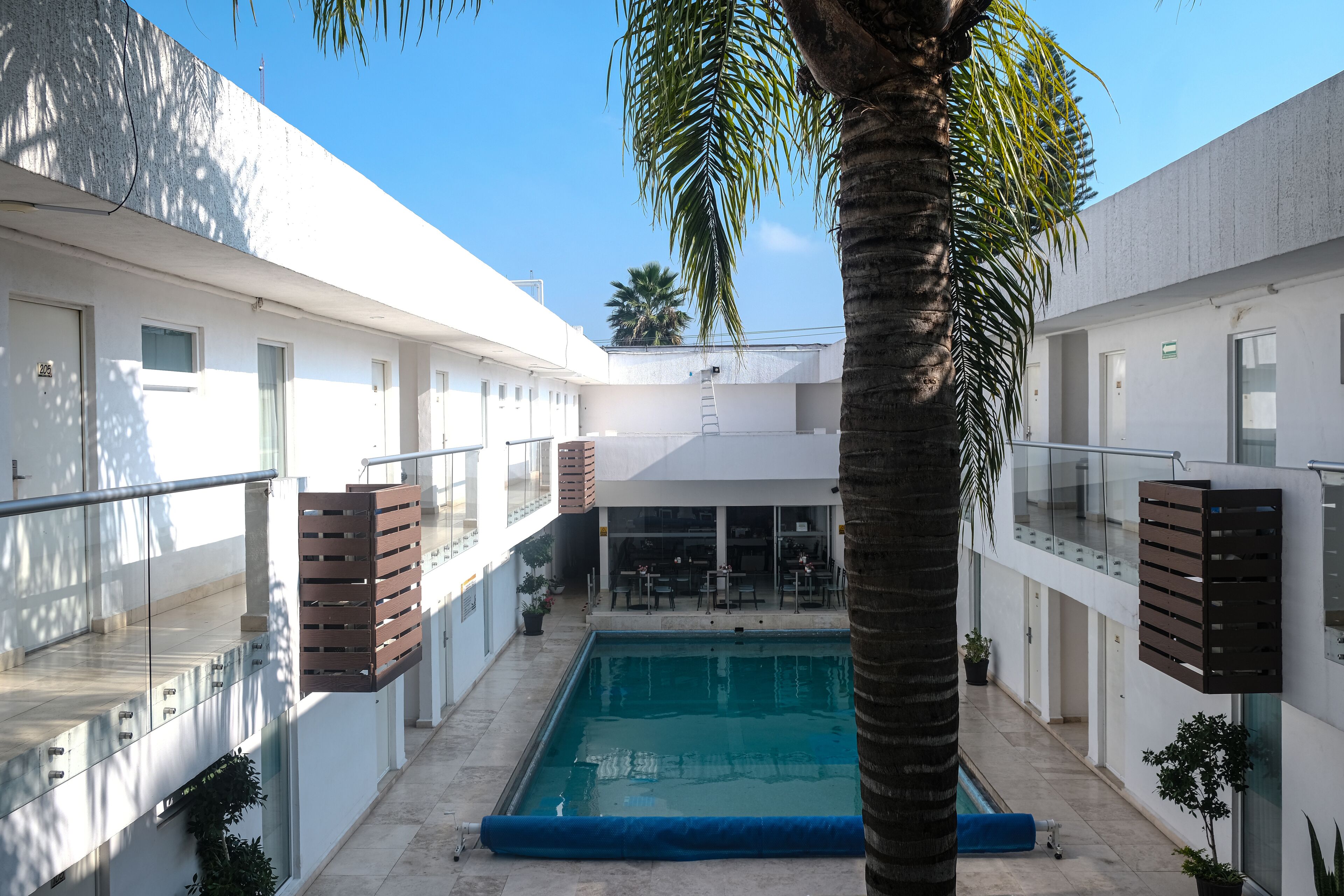 Un hôtel moderne doté d’une piscine, de nombreux balcons et d’un palmier.