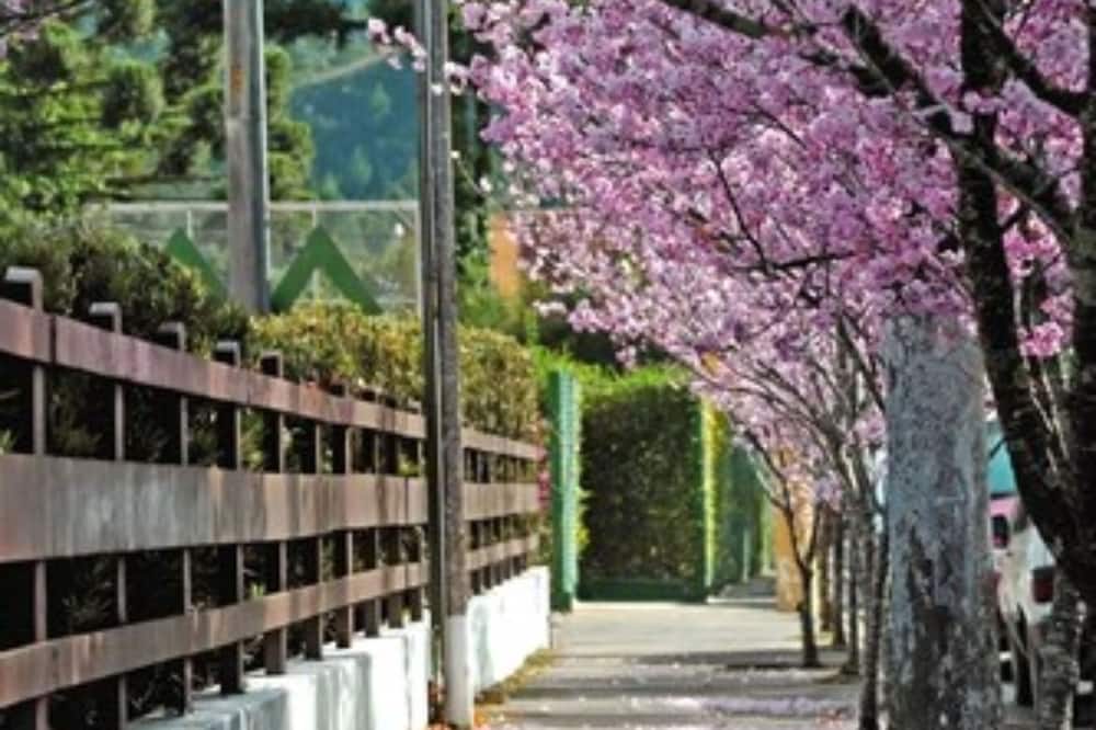 Hotel Matsubara