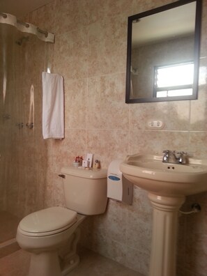 A bathroom with a toilet, sink, and shower area.