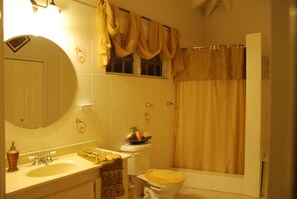Combined shower/bathtub, free toiletries, hair dryer, towels