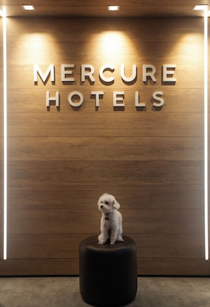 Pet-friendly amenities
