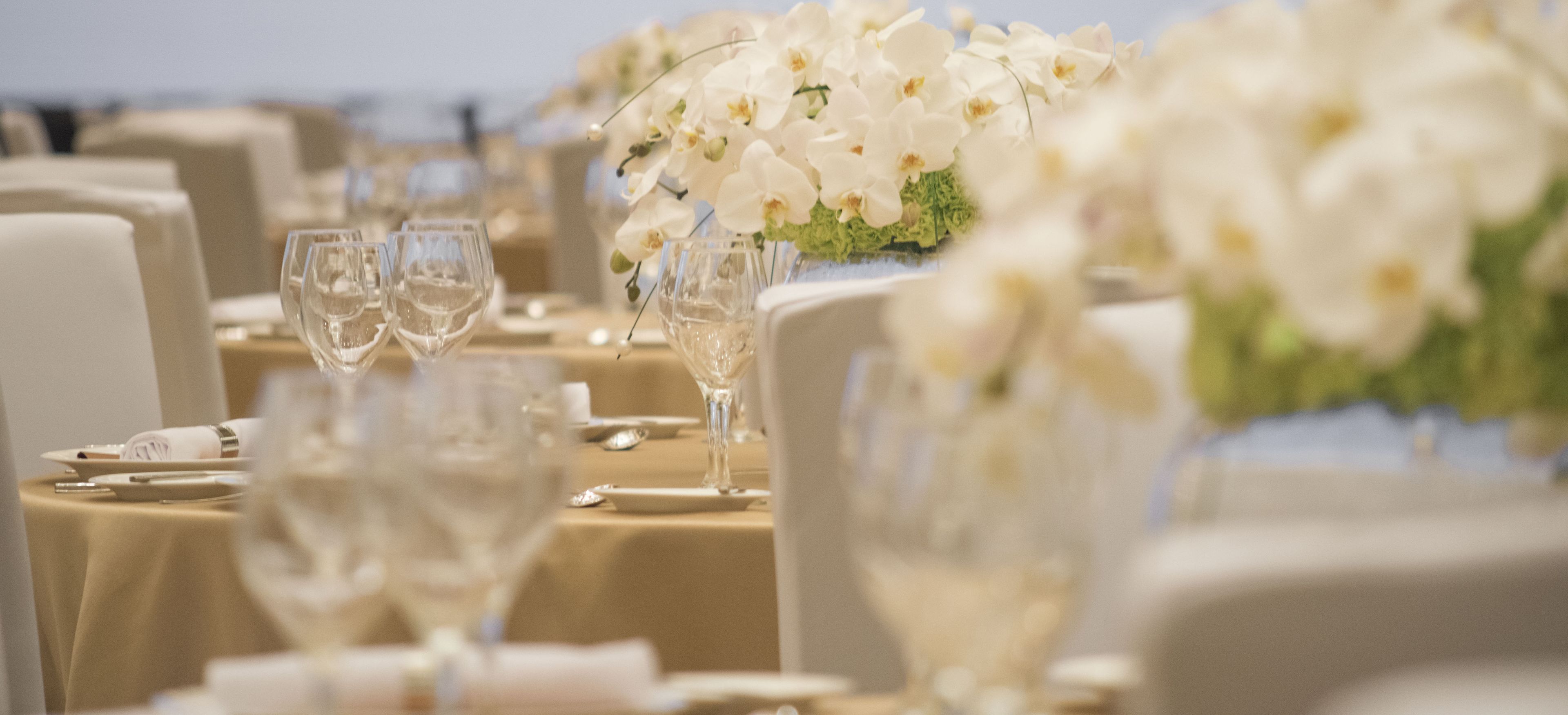 A banquet table set with white tablecloths, clear glassware, and white flowers.