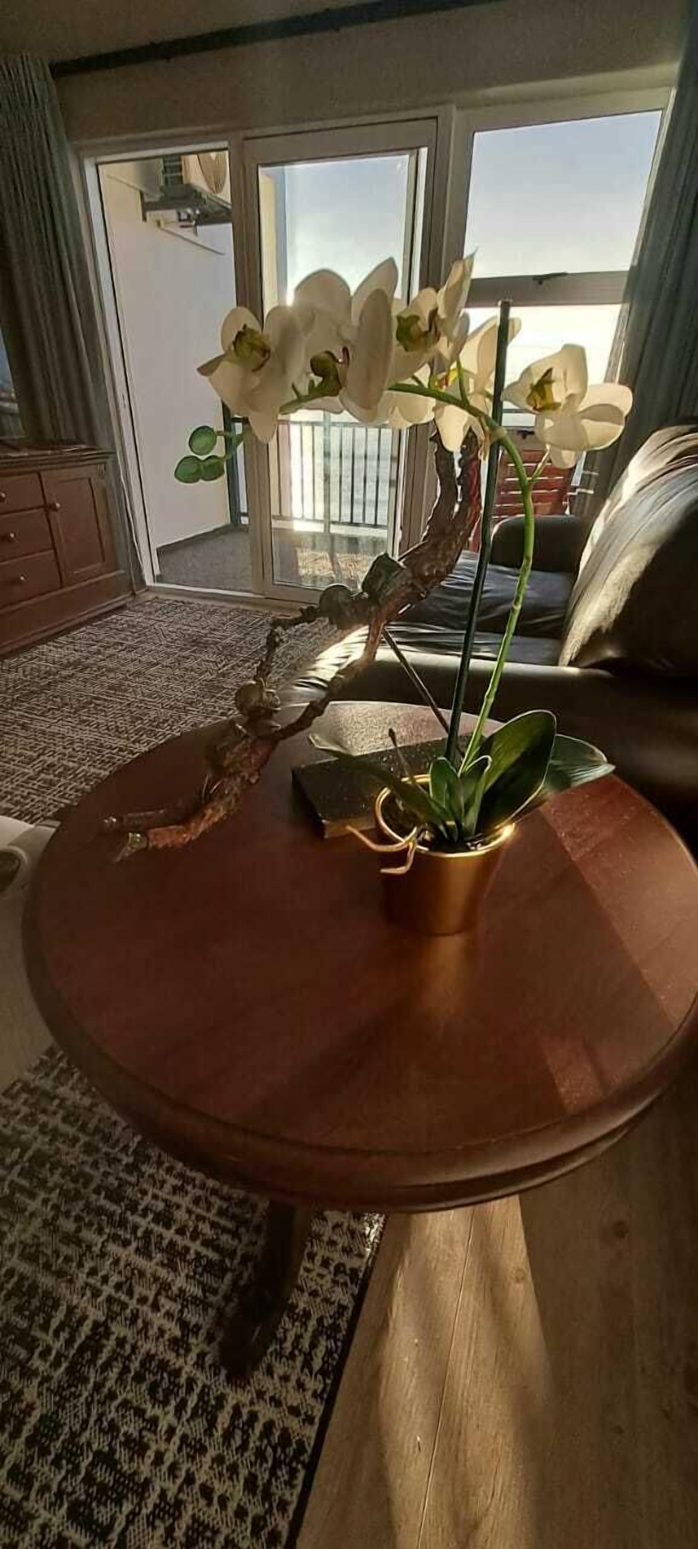 presidential suite | living area | 32-inch tv with satellite channels