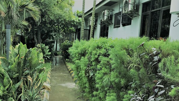 A narrow pathway flanked by lush greenery and a building with multiple air conditioning units.