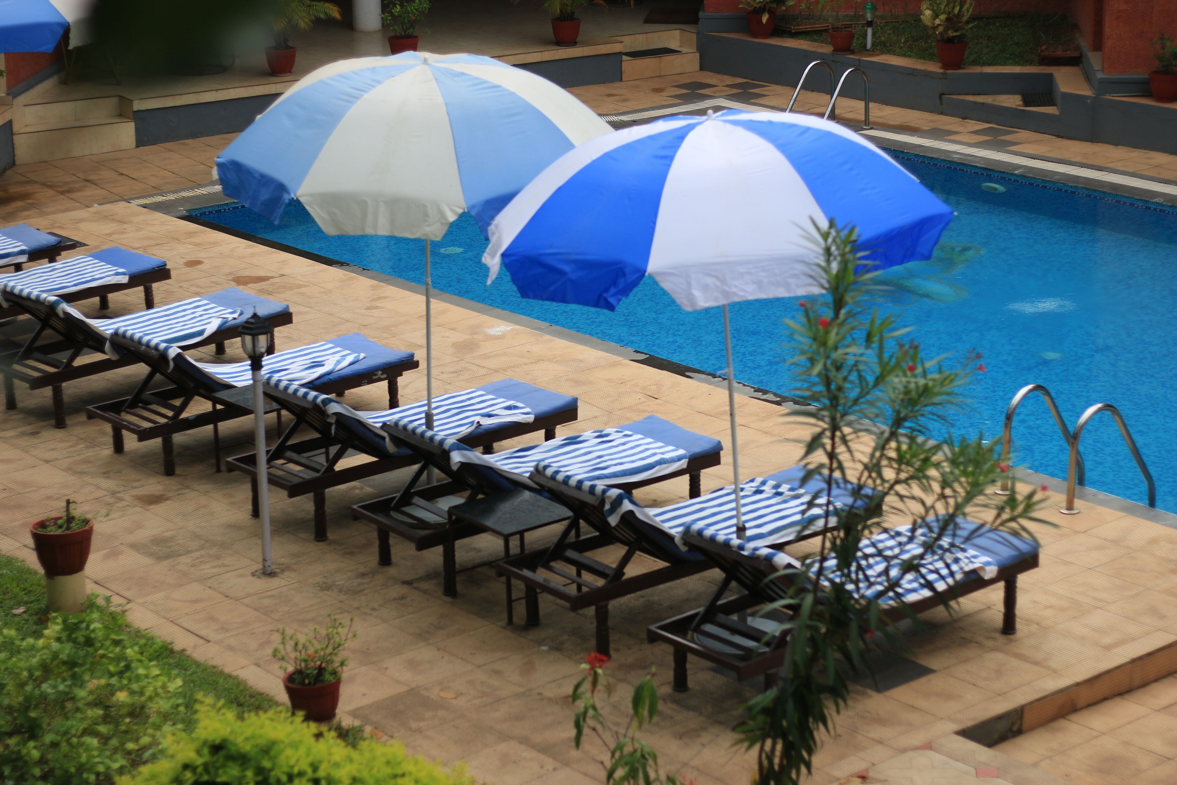 Un área junto a la piscina con sillones de descanso y sombrillas.