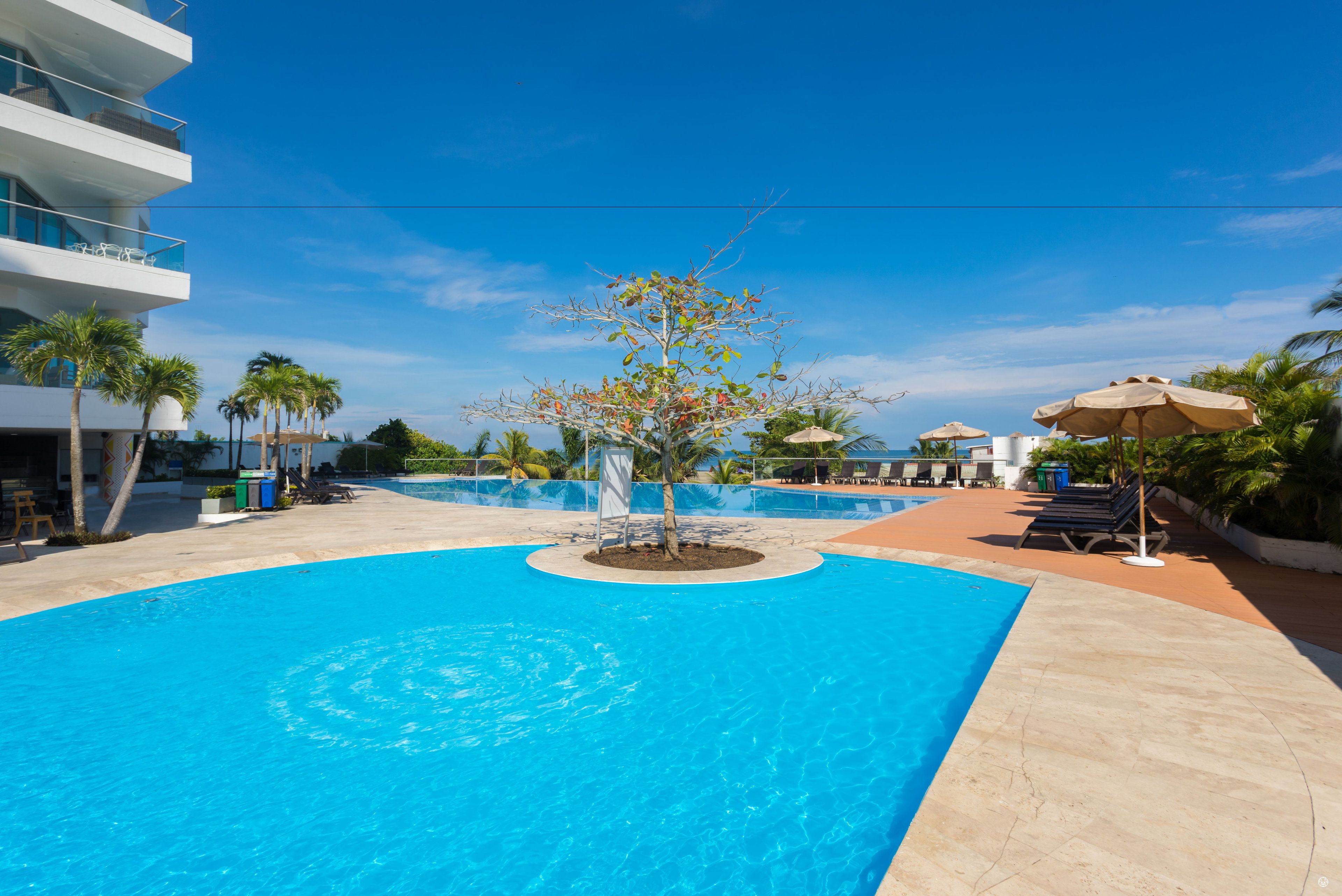 A large swimming pool with a circular design, surrounded by palm trees and lounge chairs.