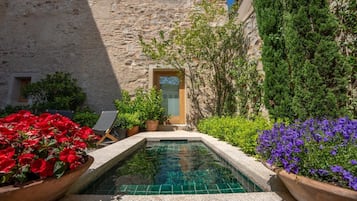 Blick auf den Garten