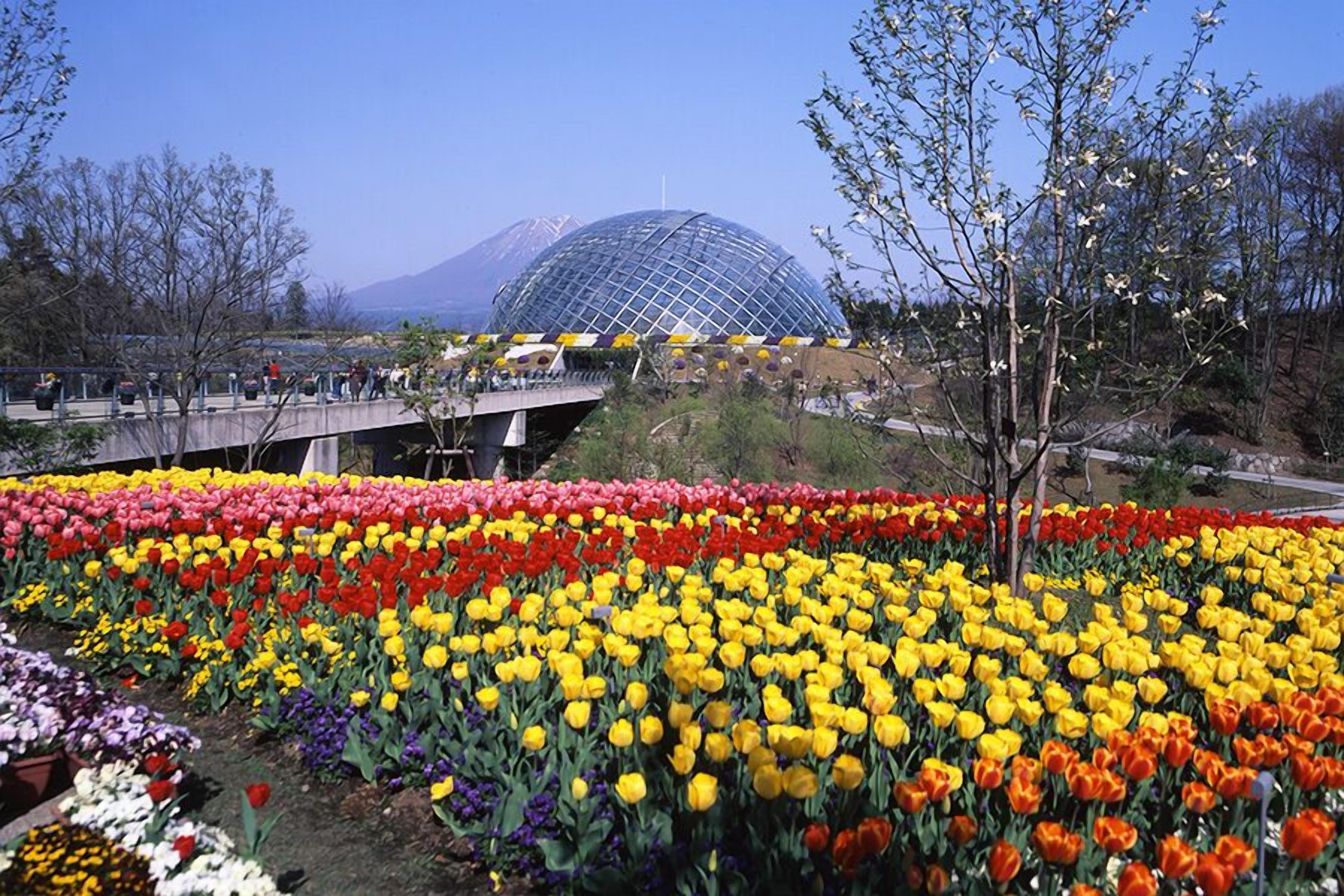 A garden with a variety of tulips and a large dome structure in the background.
