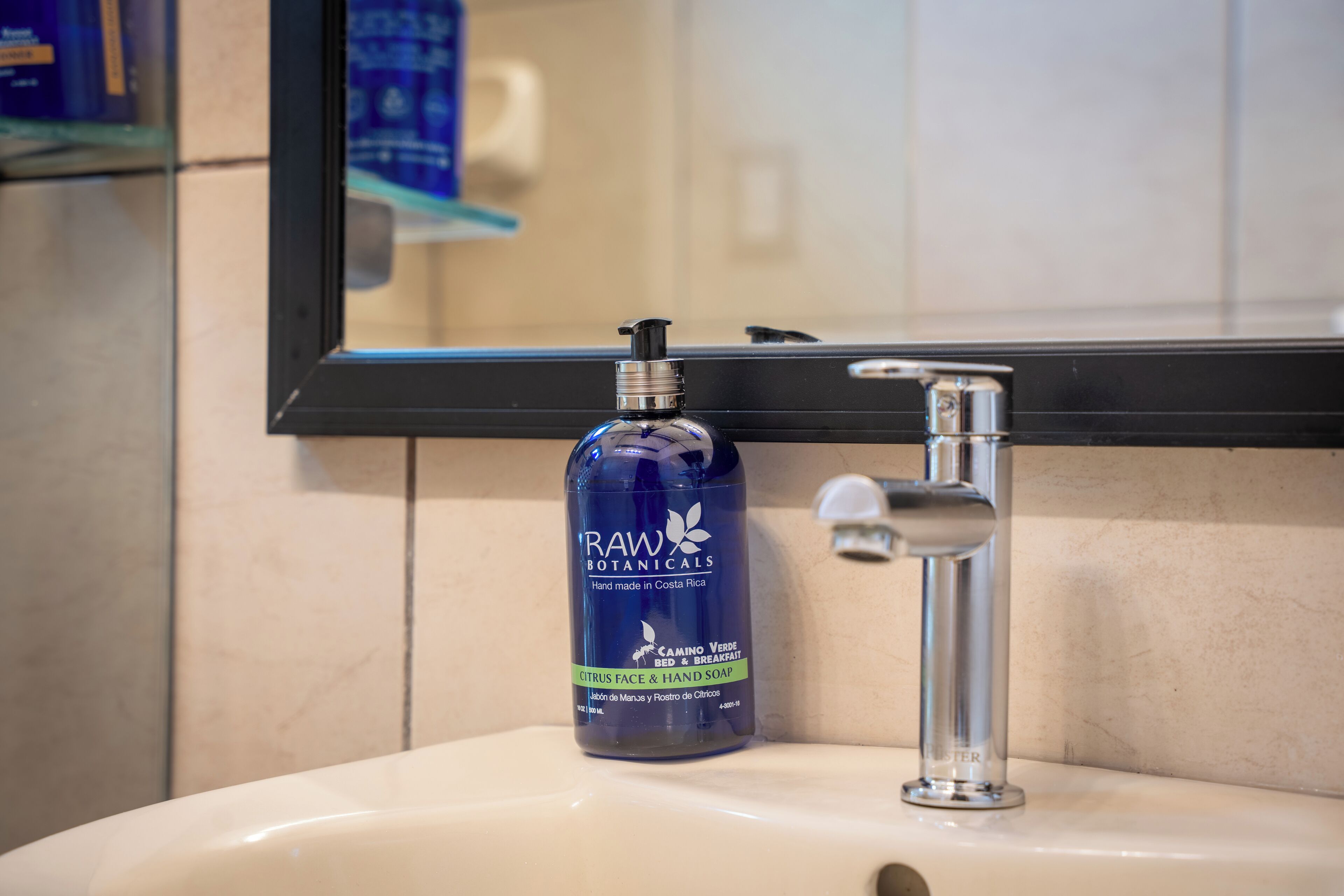 A bathroom sink with a bottle of Raw Botanicals hand soap and a mirror above it.