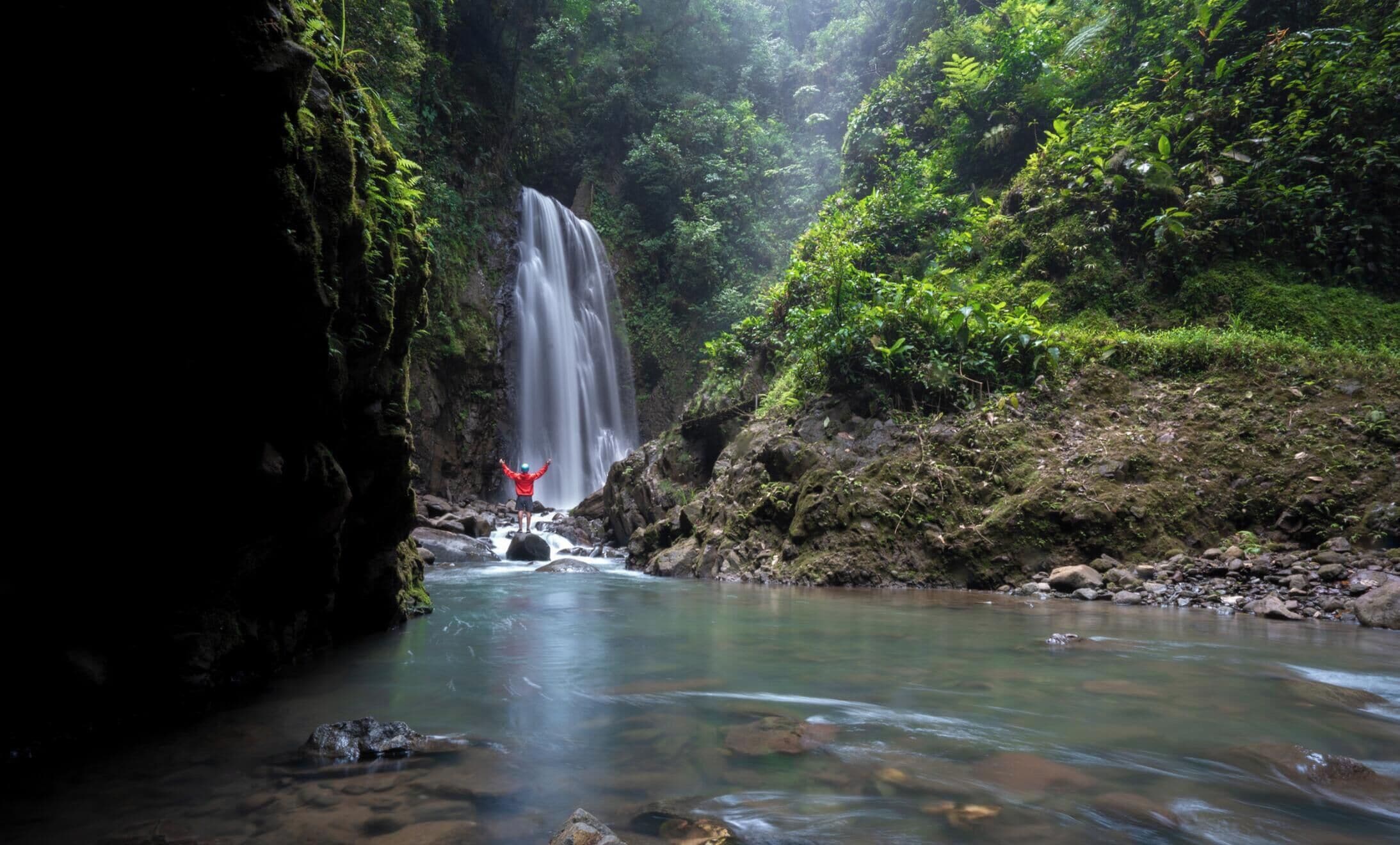 A waterfall with a person standing in the water, surrounded by lush greenery.