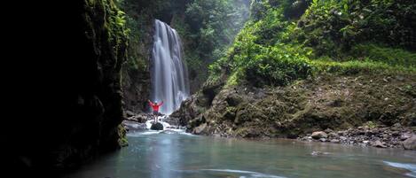 A waterfall with a person standing in the water, surrounded by lush greenery.