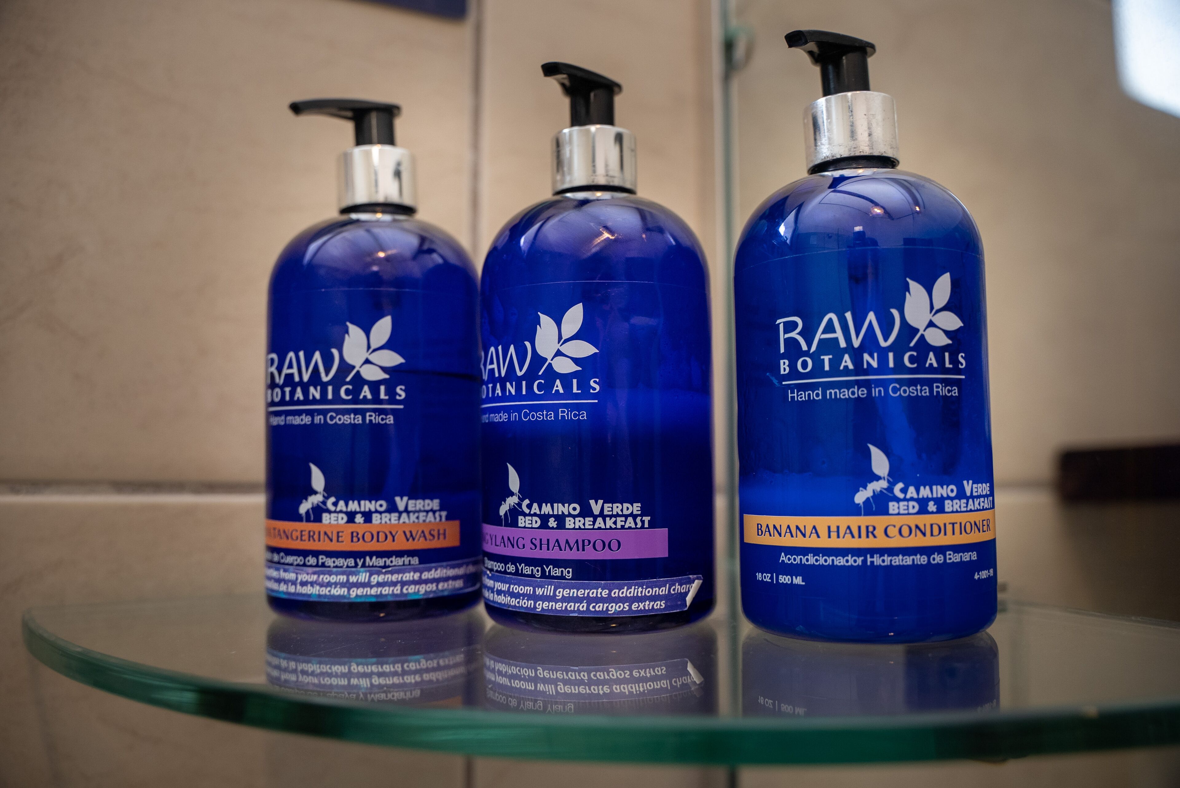 Three bottles of Raw Botanicals products on a glass shelf.