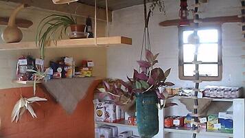 Une pièce au décor rustique, avec des étagères remplies de divers objets, une plante suspendue et une fenêtre.