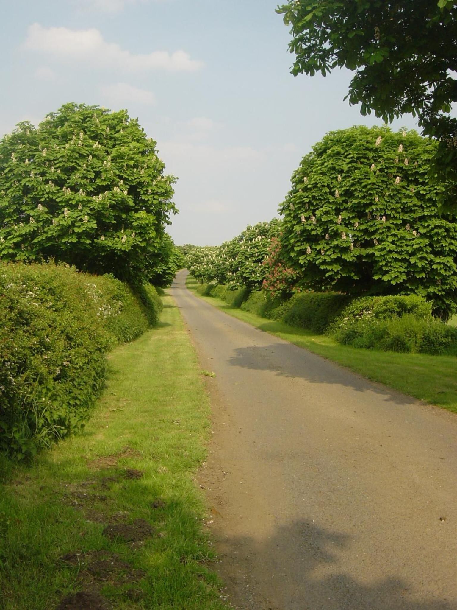 Photo - Furtho Manor Farm