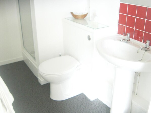 A bathroom with a toilet, a sink, and a glass shower enclosure.