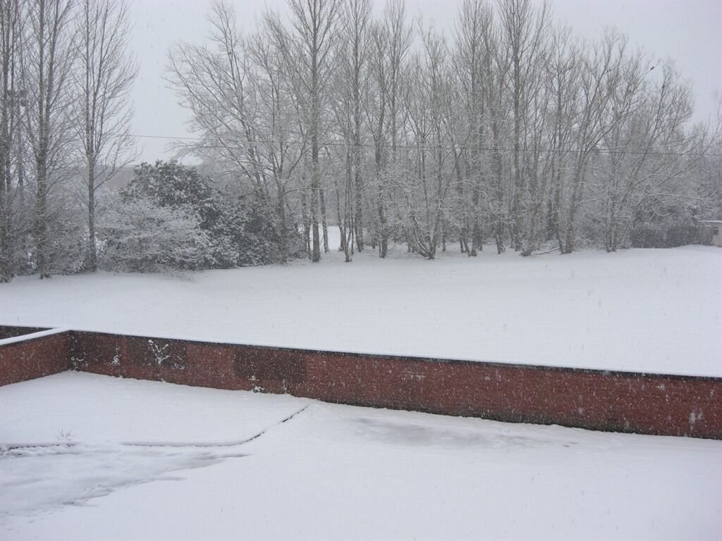 A snow-covered outdoor area with bare trees and a brick wall.