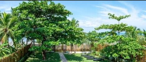 Un jardín exuberante con diversos árboles, una valla de madera y un cielo despejado.
