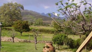 A rural landscape with a stone wall, trees, and a clear sky. - Hotel Casa Rural Ropino (Candeleda)
