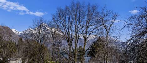 Eine Berglandschaft mit schneebedeckten Gipfeln, kahlen Bäumen und blauem Himmel.