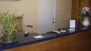 A reception desk with a wooden chair, a potted plant, and a vase of flowers. - Super 7 Inn Siloam Springs (Siloam Springs)