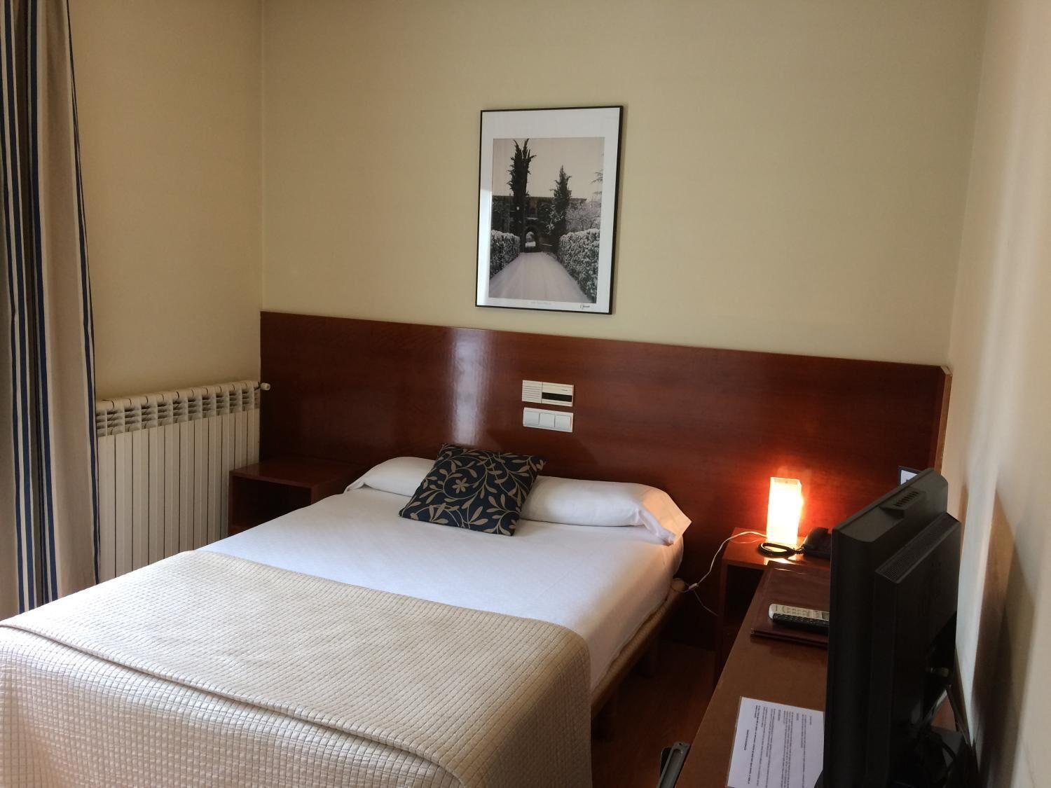 A hotel room with a bed, a bedside table with a lamp, a TV, and a framed picture on the wall.