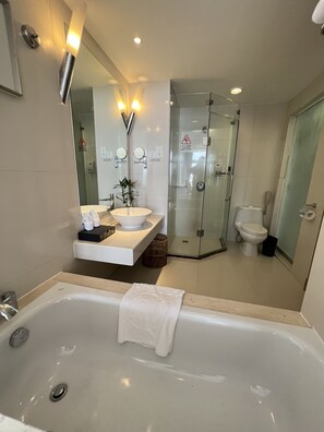 Bañera, secador de pelo, toallas