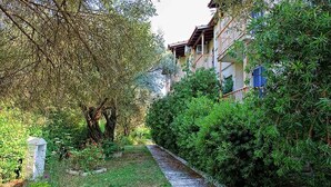 A pathway flanked by lush greenery and a building with balconies. - Thalero Holidays Center (Lefkada)