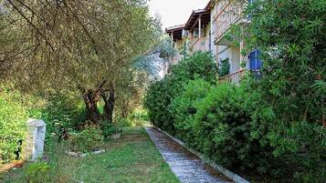 Jardim