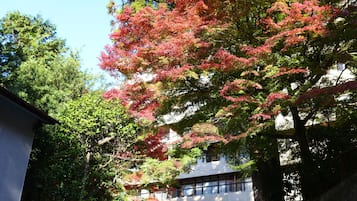 外部細節