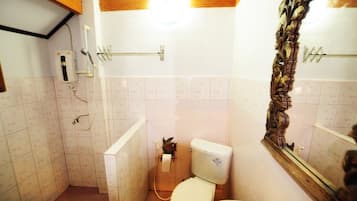 Shower, hair dryer, bathrobes, towels