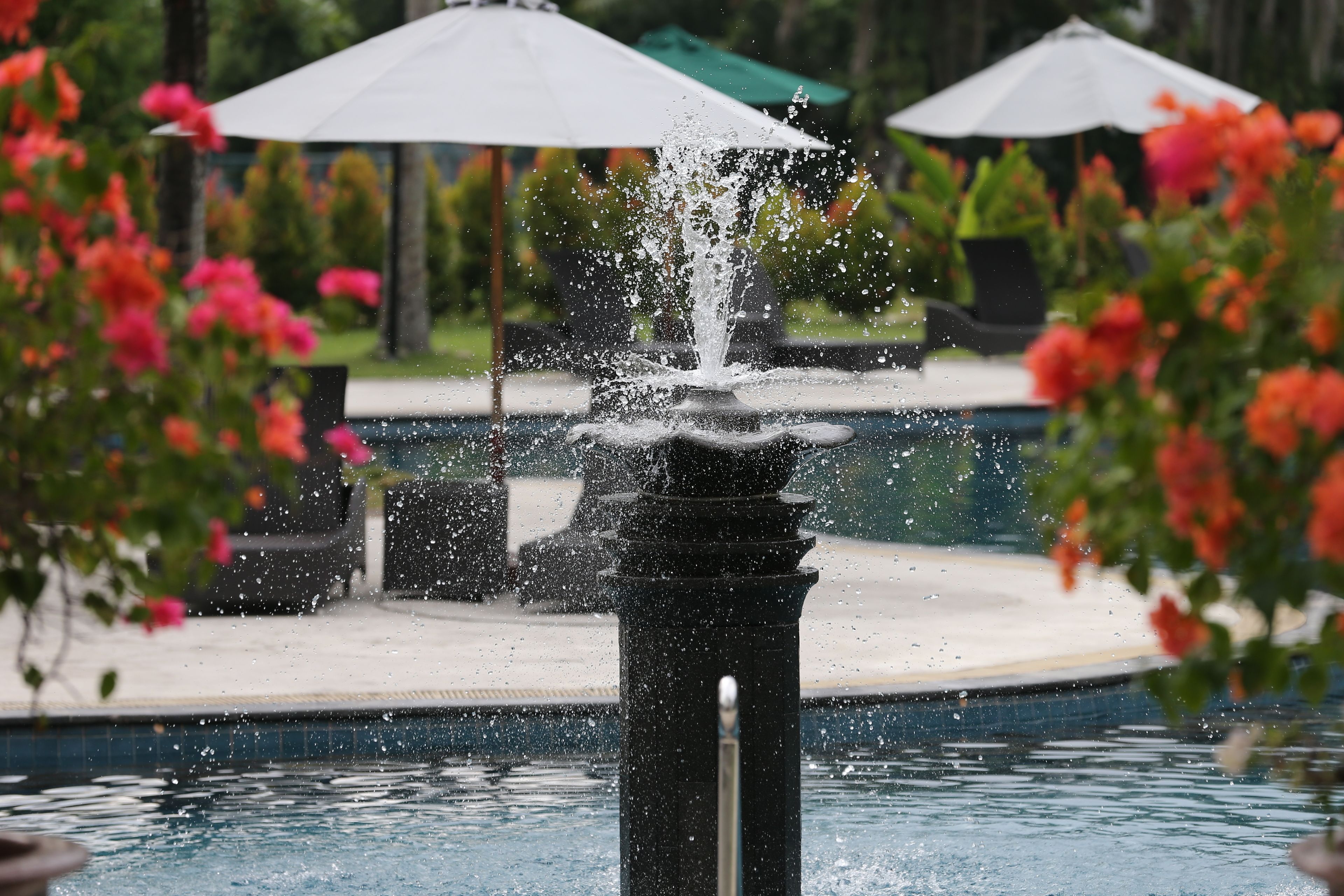 Photo - Aryaduta Pekanbaru