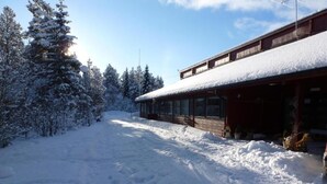 Eksteriør