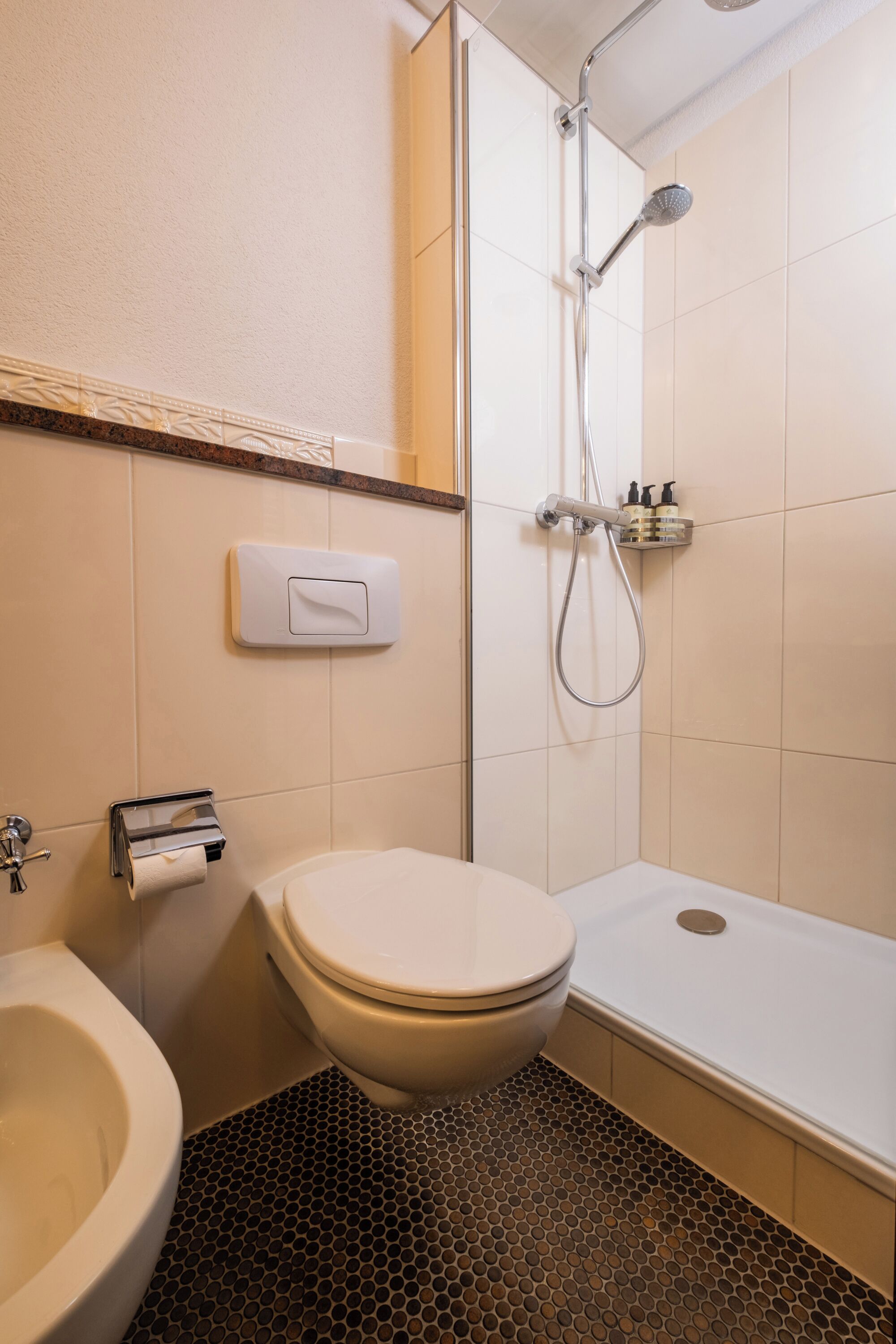 Ein Badezimmer mit Toilette, Bidet und Dusche.