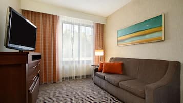 Habitación de hotel con televisor de pantalla plana, sofá, un cuadro y alfombra estampada.