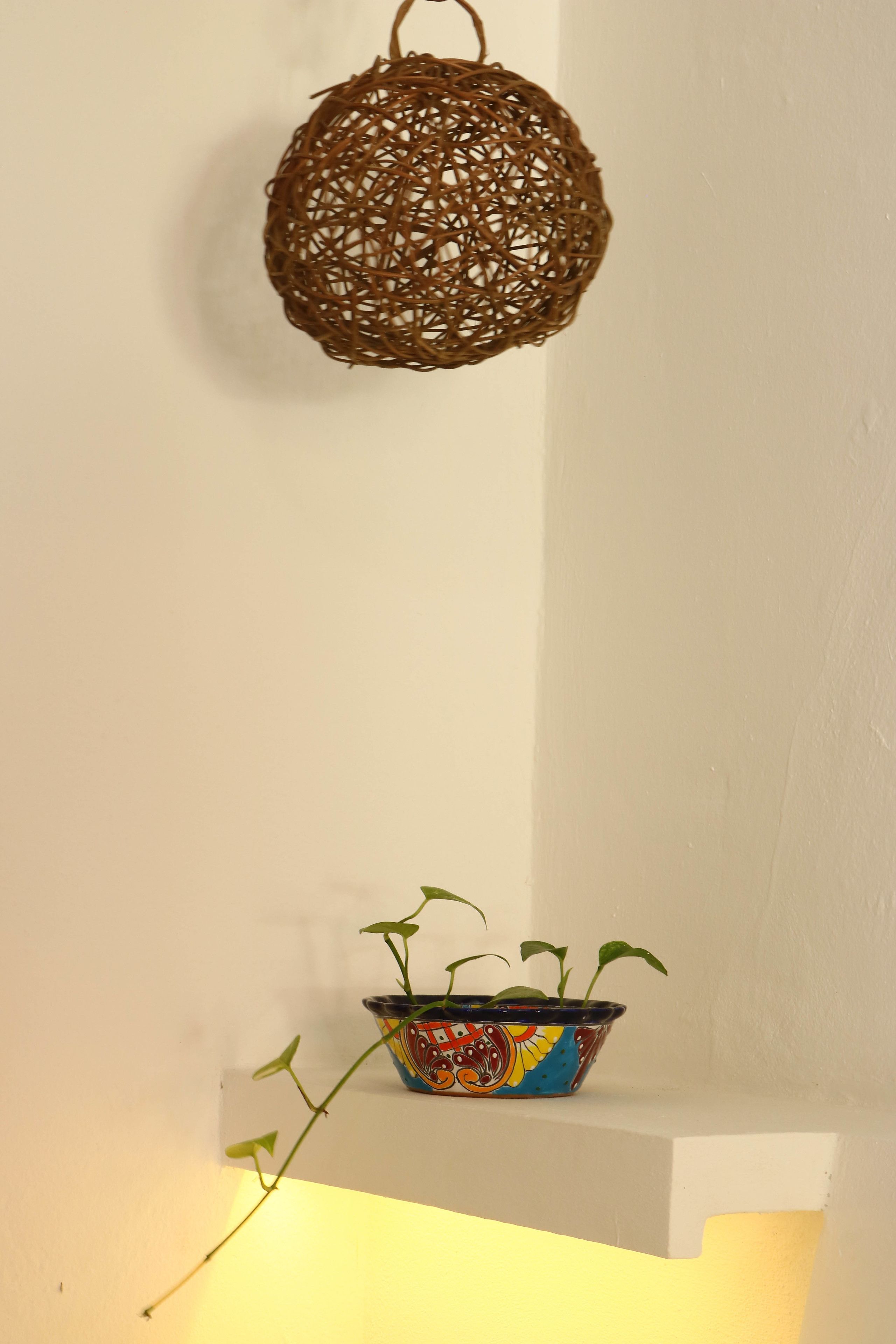 A shelf with a potted plant and a woven hanging light fixture.