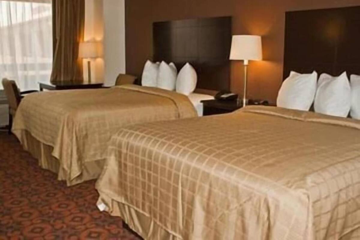 Une chambre d’hôtel avec deux lits, une table de chevet, une lampe et une moquette à motifs.