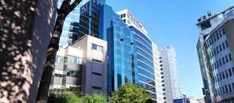 Hotel Skypark Myeongdong Ii