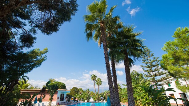 A pool area with lounge chairs, palm trees, and a clear blue sky. - Villaggio Alkantara (Giardini Naxos)