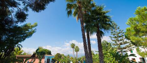 Piscine extérieure, parasols de plage