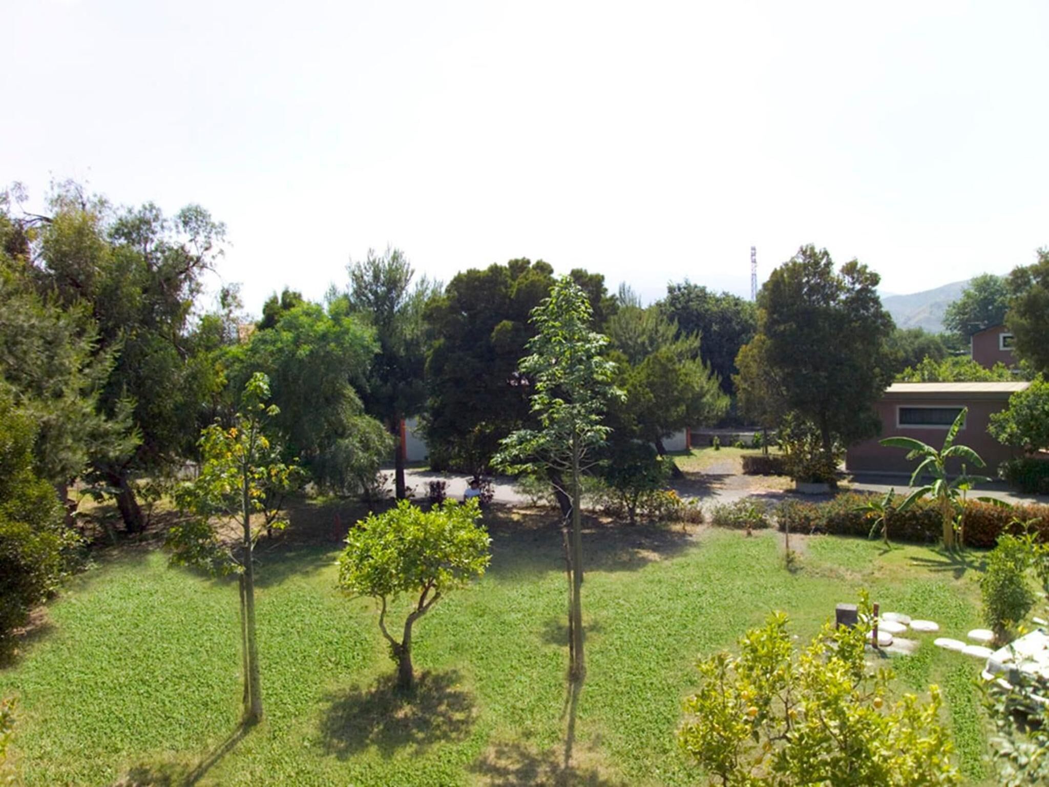 A well-maintained garden with a variety of trees and shrubs, a paved pathway, and a building with a flat roof in the background.