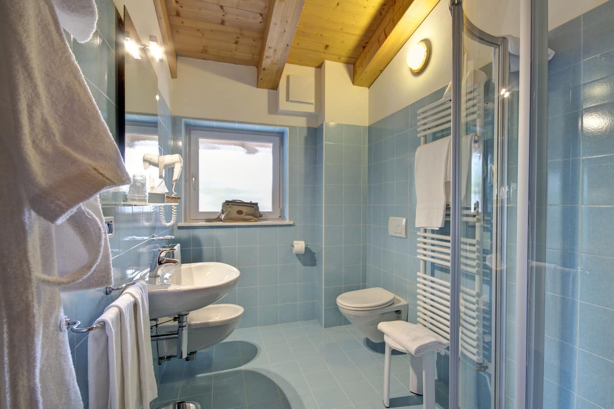 free toiletries, hair dryer, towels