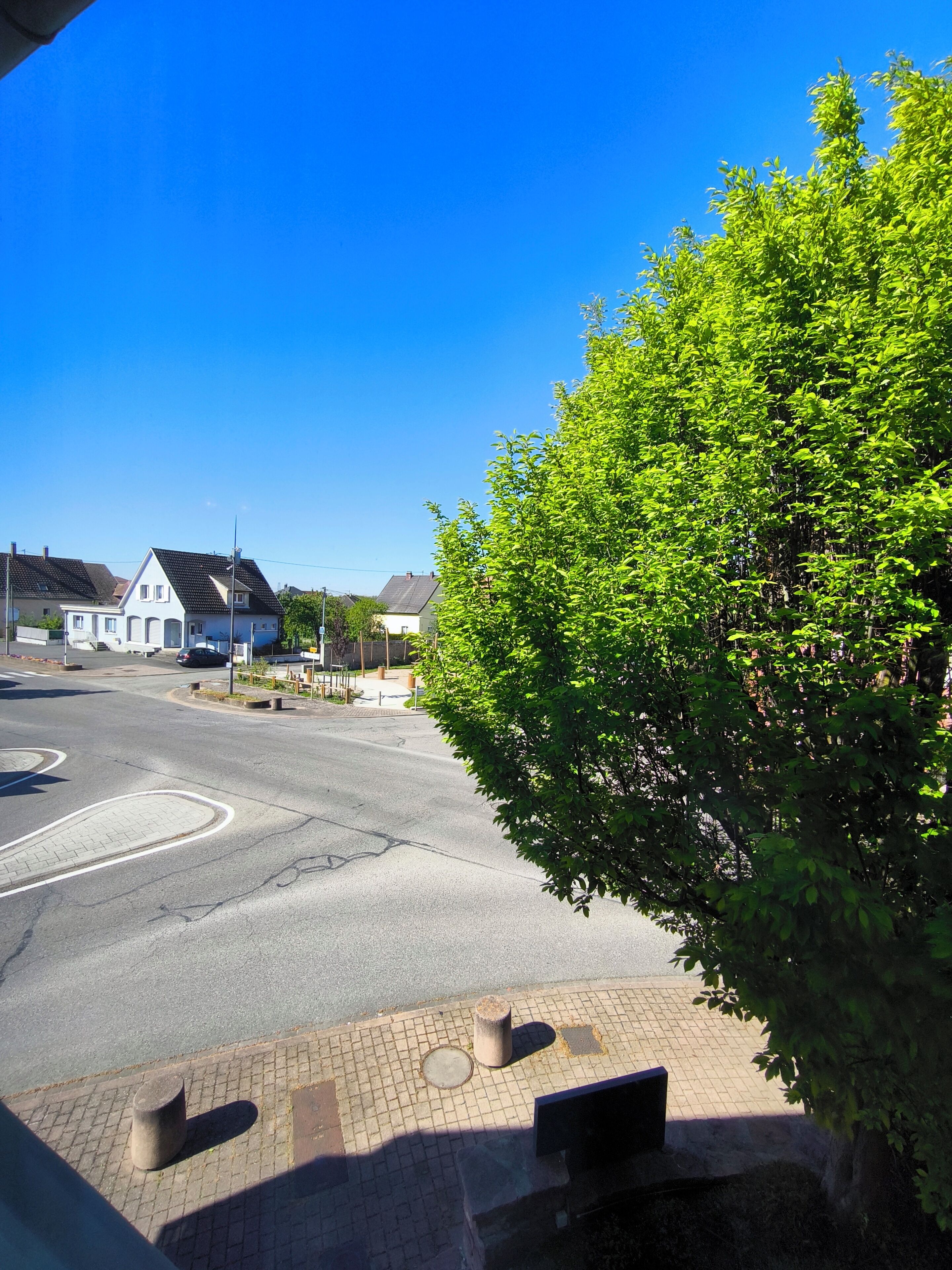 Eine Wohnstraße mit Häusern, blauem Himmel und einem Baum.
