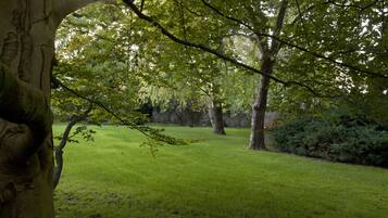 A lush green park with mature trees and a well-maintained lawn.